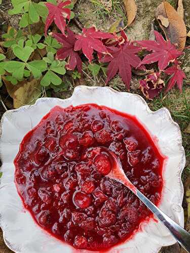 Chutney  canneberges échalotes et cumin