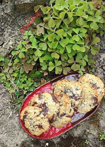 Cookies aux graines et flocons d’avoine