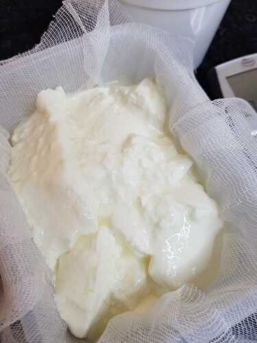 Fromage blanc au lait de brebis