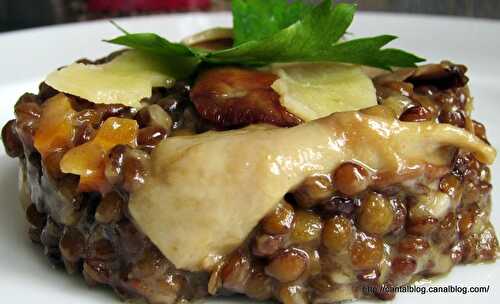 Le Cantal et la blonde de St-Flour en RISOTTO aux cèpes !!!!!!