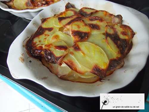 Gratin aux 2 pommes & camembert