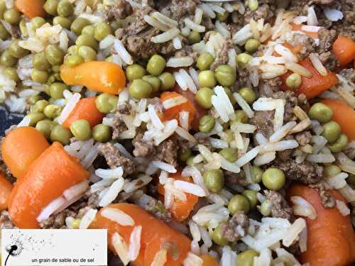 One pot : riz, boeuf, petits pois, carottes