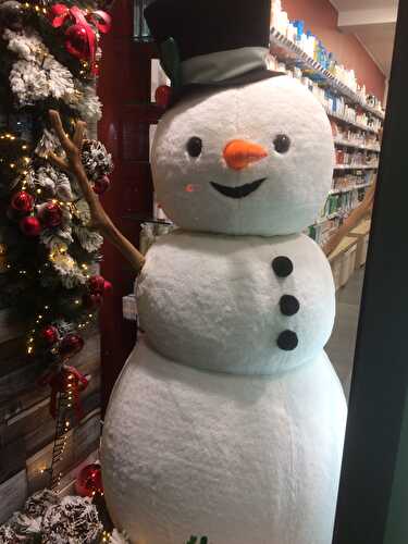 Bonhomme hiver est arrivé !