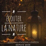 Regarder la nature en automne…