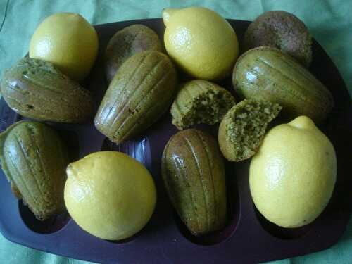 P'tites madeleines au citron et au thé matcha