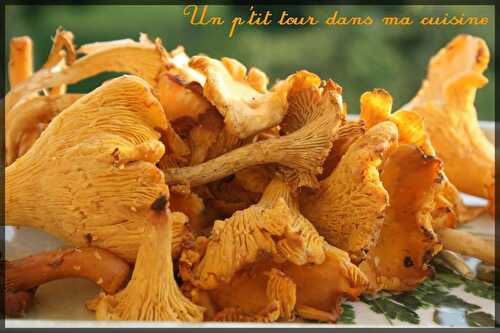 P'tites paupiettes d'automne aux girolles