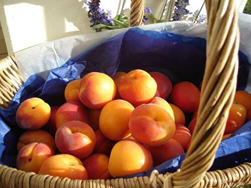 P'tites tartelettes aux abricots