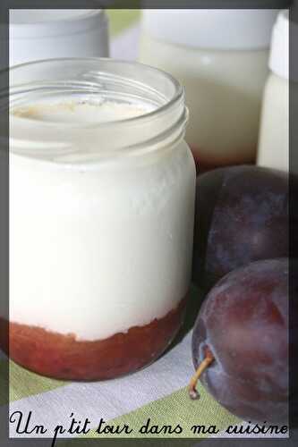 P'tits yaourts aux prunes rouges - Un p'tit tour dans ma cuisine