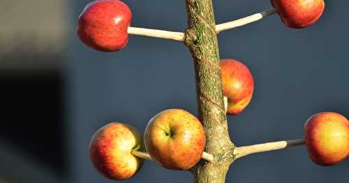 La cérémonie du "breuriez", fête aux origines celtiques ( 1 er Novembre)