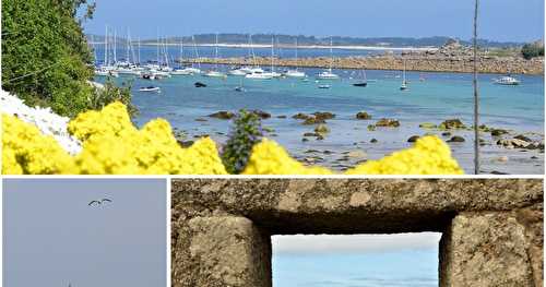 Les Scilly, un petit coin de paradis ...