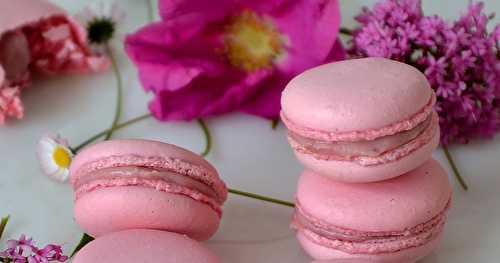 Macarons à la fraise de Christophe Felder