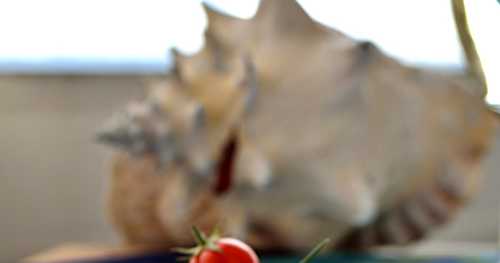 Rillettes de maquereau fumé