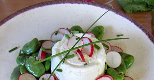 Salade de fèves, radis roses et fromage en faisselle 