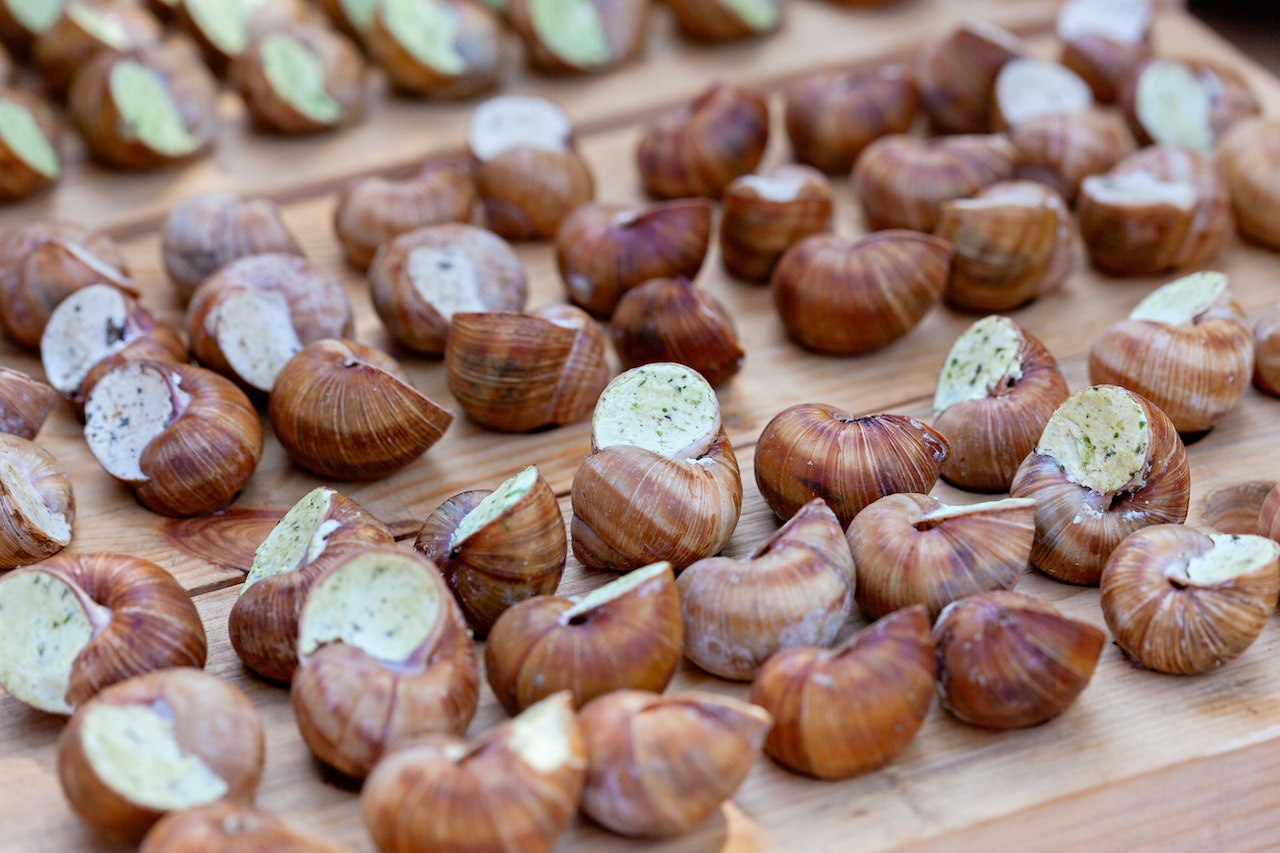 Comment cuisiner des escargots : astuces et recettes