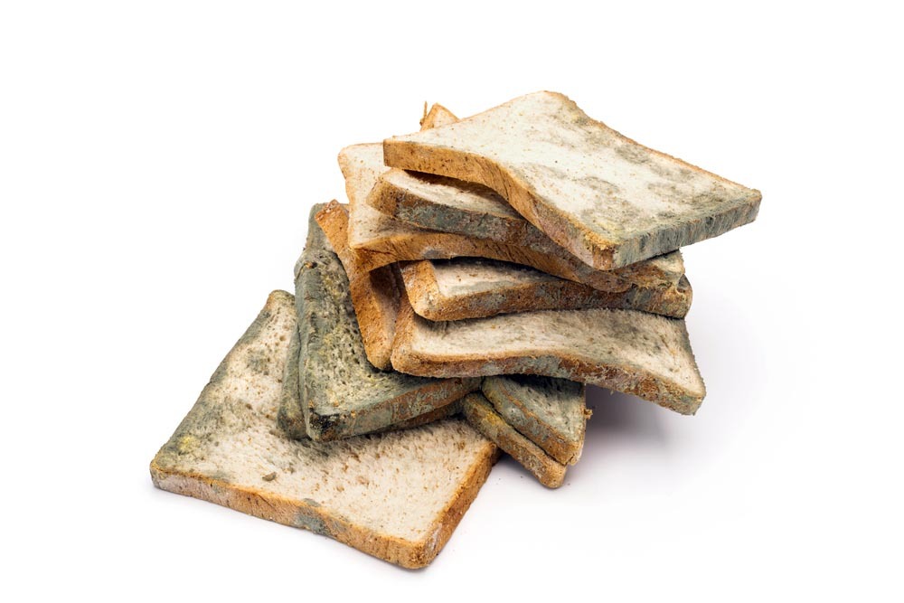 Ce que 9 Français sur 10 ignorent sur le pain de mie périmé (et pourquoi c’est une erreur)