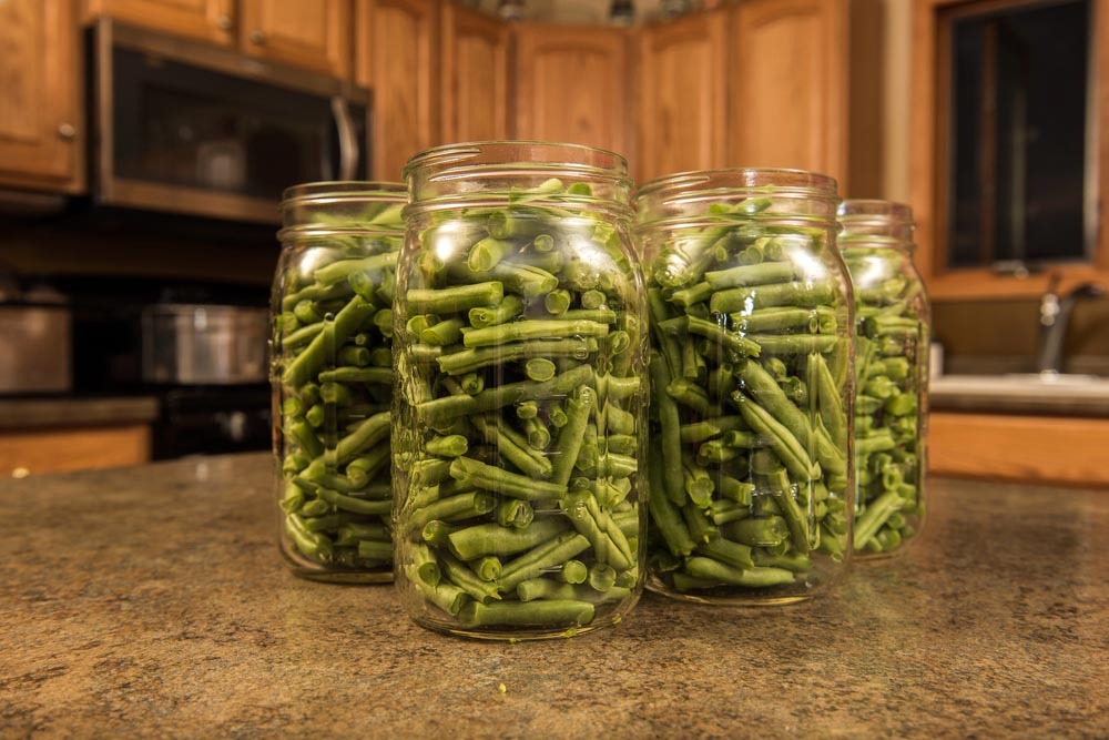 Haricots verts au naturel maison : la méthode simple