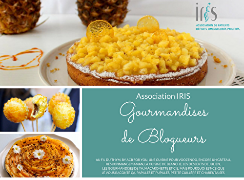 « Gourmandises de Blogueurs » pour l’association IRIS