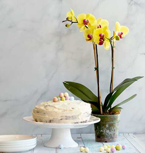 Gâteau à la vanille et au chocolat blanc