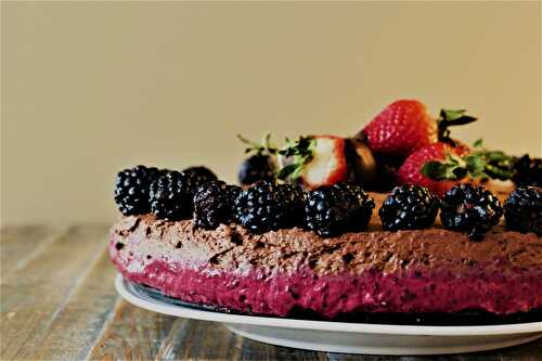 Gâteau mousse au chocolat et mousse aux fruits