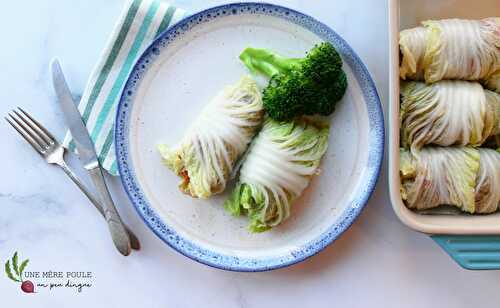 Quatre repas avec du porc haché : courge garnie, burritos, cigare au chou asiatique et pastas