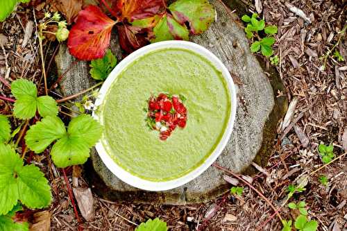 Potage froid de concombre et de laitue