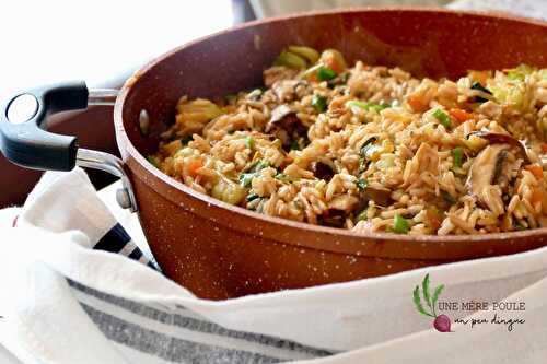 Riz frit au poulet et aux légumes