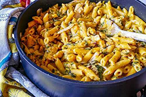 Casserole crémeuse « one pot » de pennes au fromage, poulet et à la courge