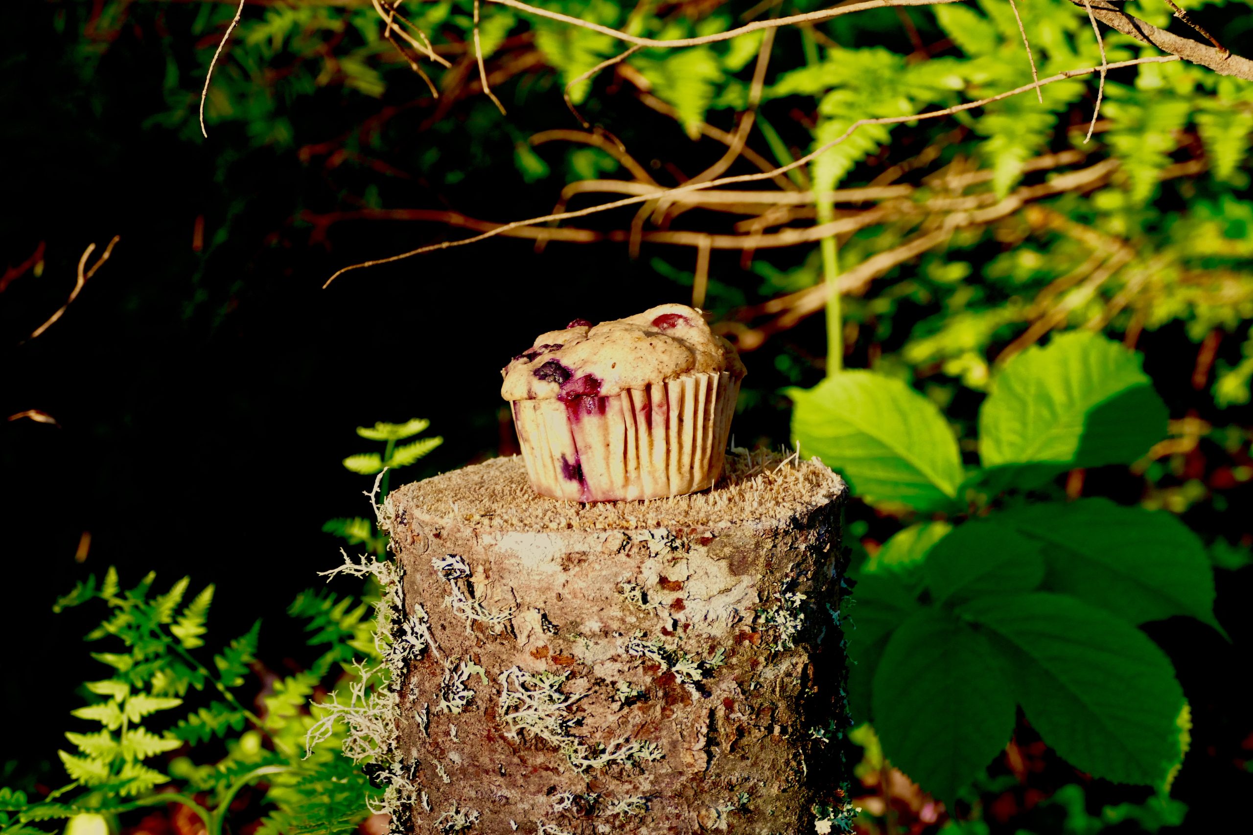 Muffins au sucre d’érable, à la farine de sarrasin et aux bananes