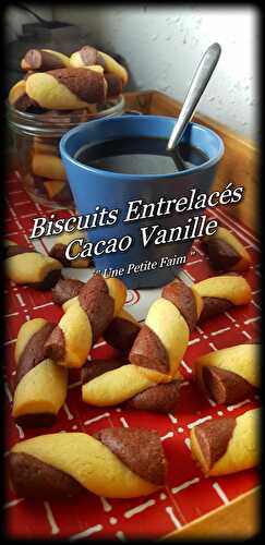 Biscuits Entrelacés Cacao Vanille