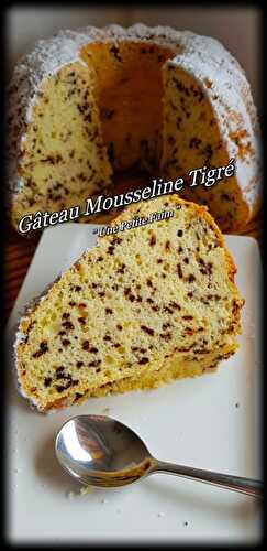 Gâteau Mousseline Tigré