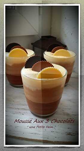 Mousse Aux 3 Chocolats