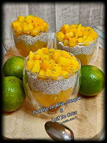 Pudding De Chia, Mangue & Lait De Coco