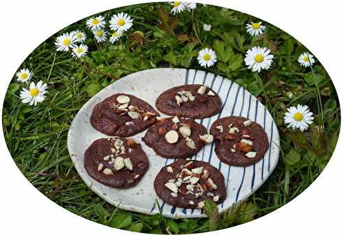 Biscuits meringués au chocolat, aquafaba & noisettes - IG Bas