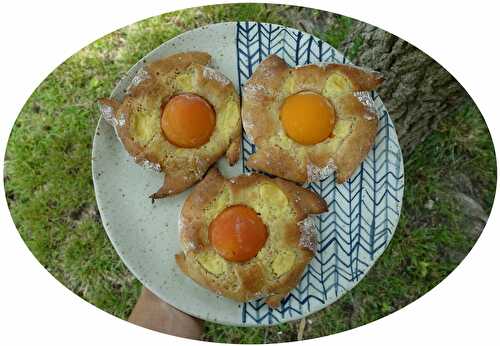 Brioche moulin à vent au miel & abricot