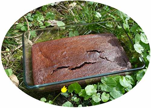 Fondant au chocolat & compote - IG Bas