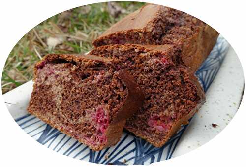 Gâteau marbré chocolat & framboises - IG Bas