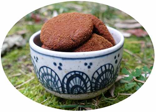 Snickerdoodles au chocolat