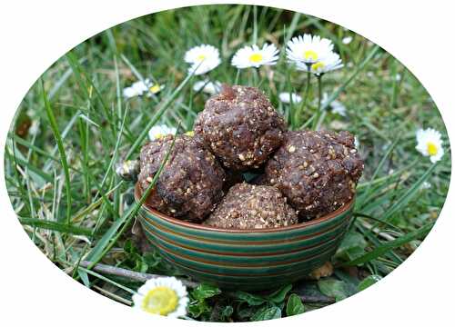 Energy balls aux abricots secs, amandes grillées & cacao - IG Bas