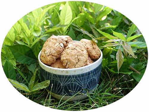 Biscuits à l'avoine & miel - IG Bas / Sans lactose