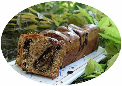 Babka à la farine semi-complète au chocolat / sans lactose