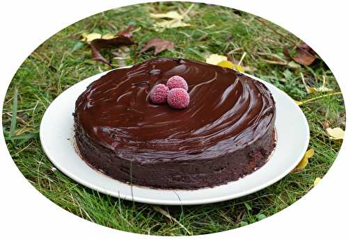 Gâteau au chocolat & framboises - IG Bas