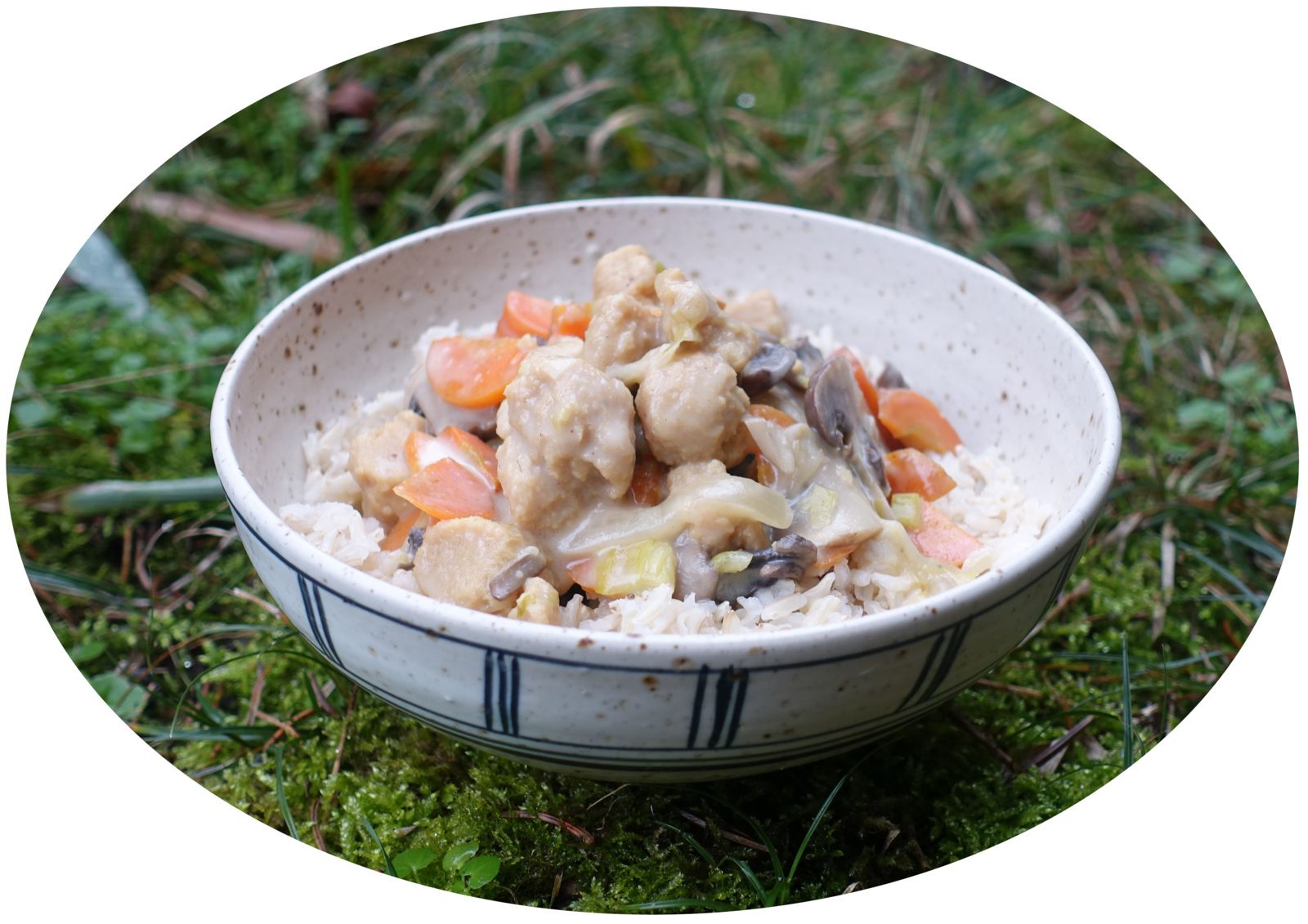 Blanquette végétalienne au soja, carottes, poireaux & champignons - IG Bas 