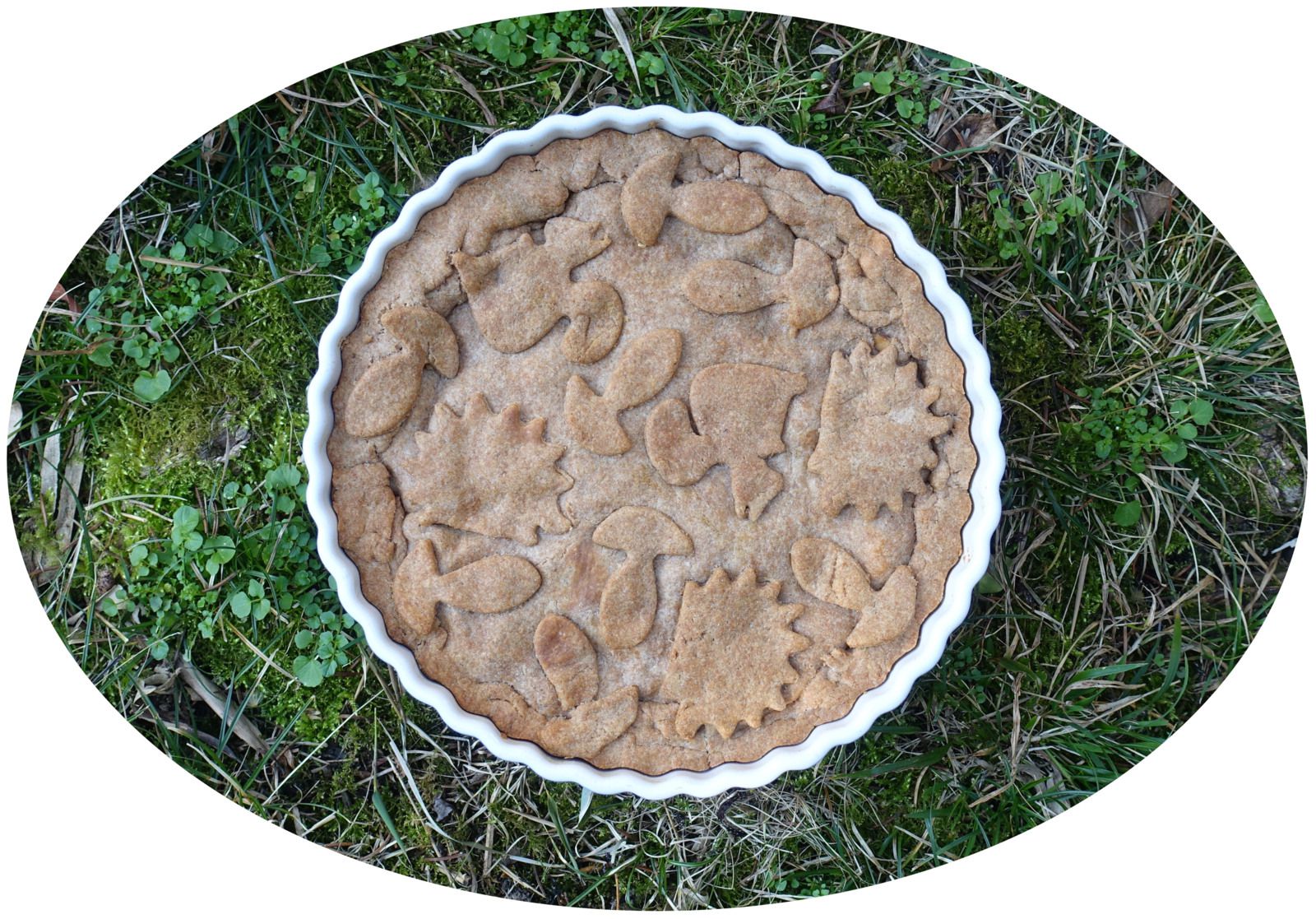 Tourte au poulet & champignons - IG Bas / sans lactose