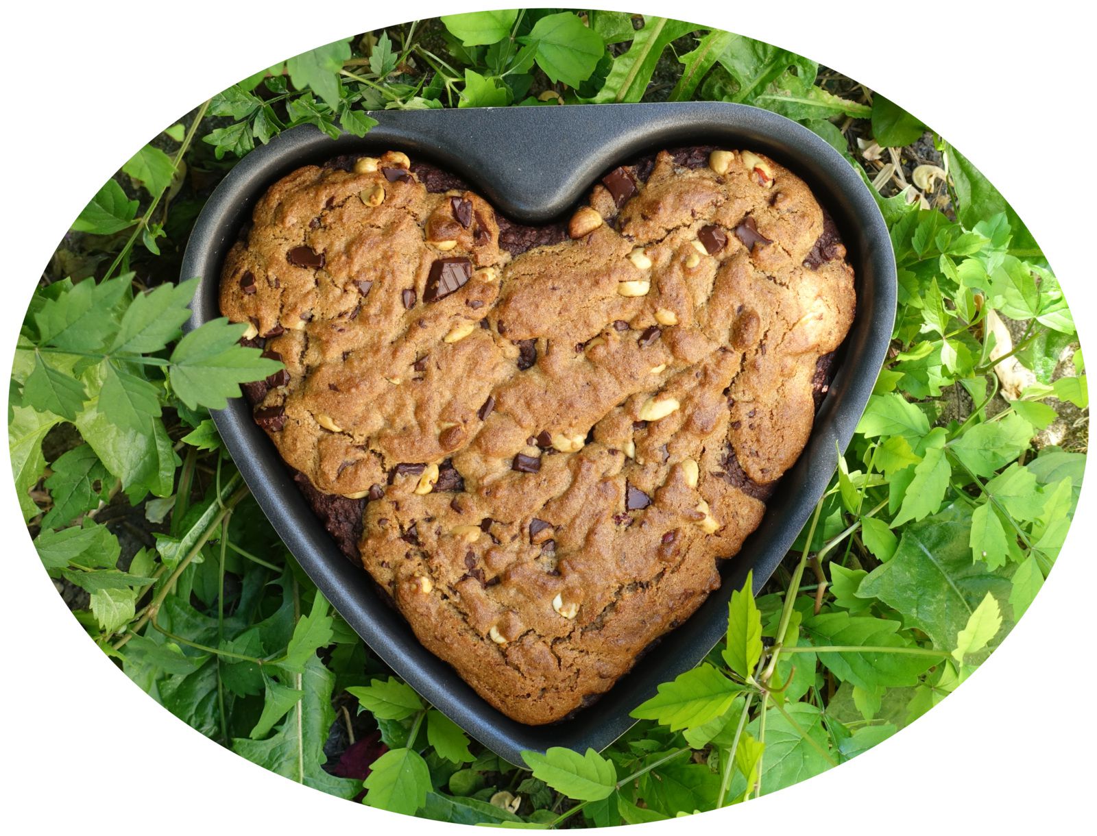 Brookie aux haricots rouges & cacahuètes - IG Bas / sans lactose 