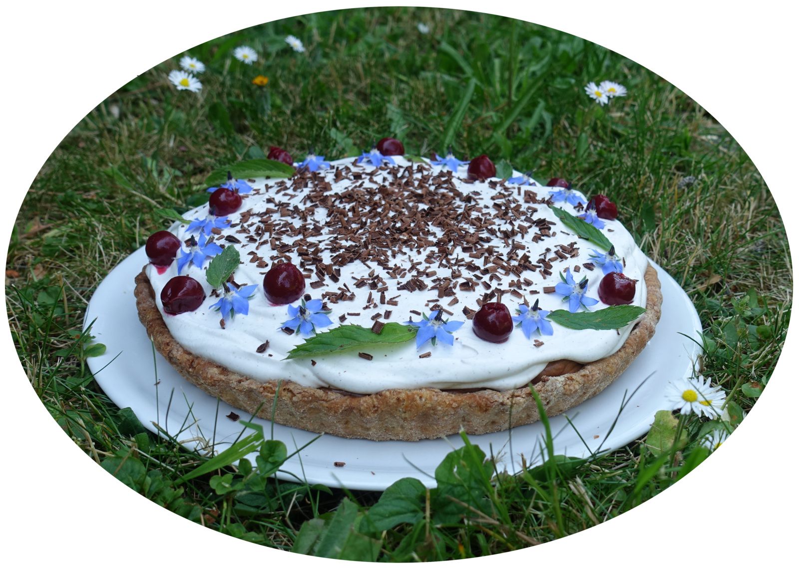 Tarte façon forêt noire aux cerises, mousse au chocolat & chantilly - sans lactose