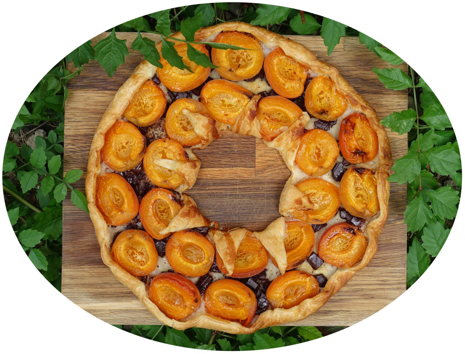 Tarte aux abricots, chocolat noir & miel - sans lactose