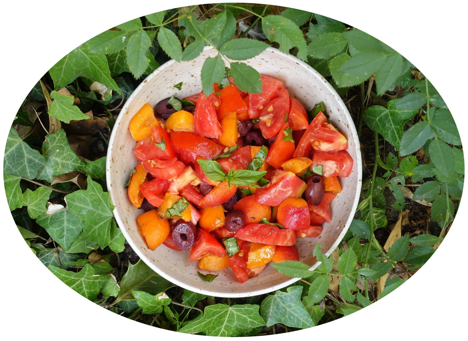 Salade tomates, abricots & basilic - IG Bas