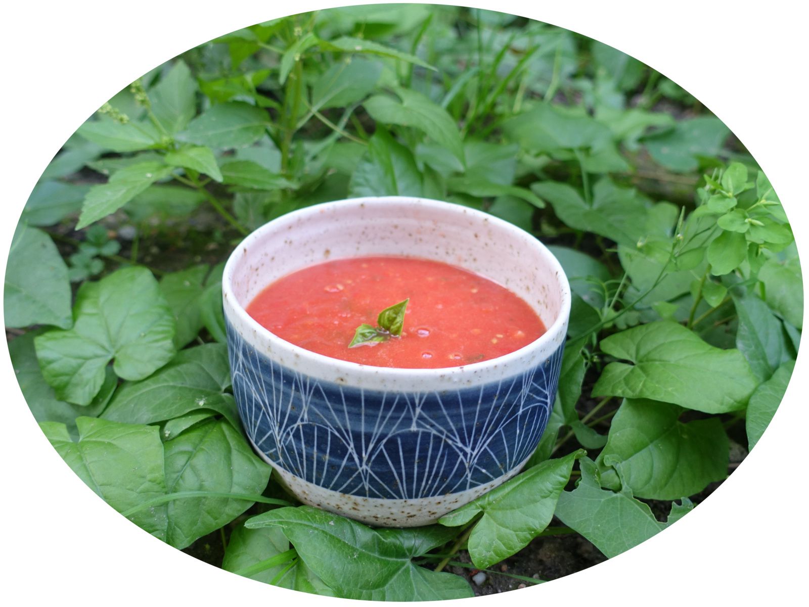 Soupe végétalienne aux tomates rôties & basilic -  IG Bas 