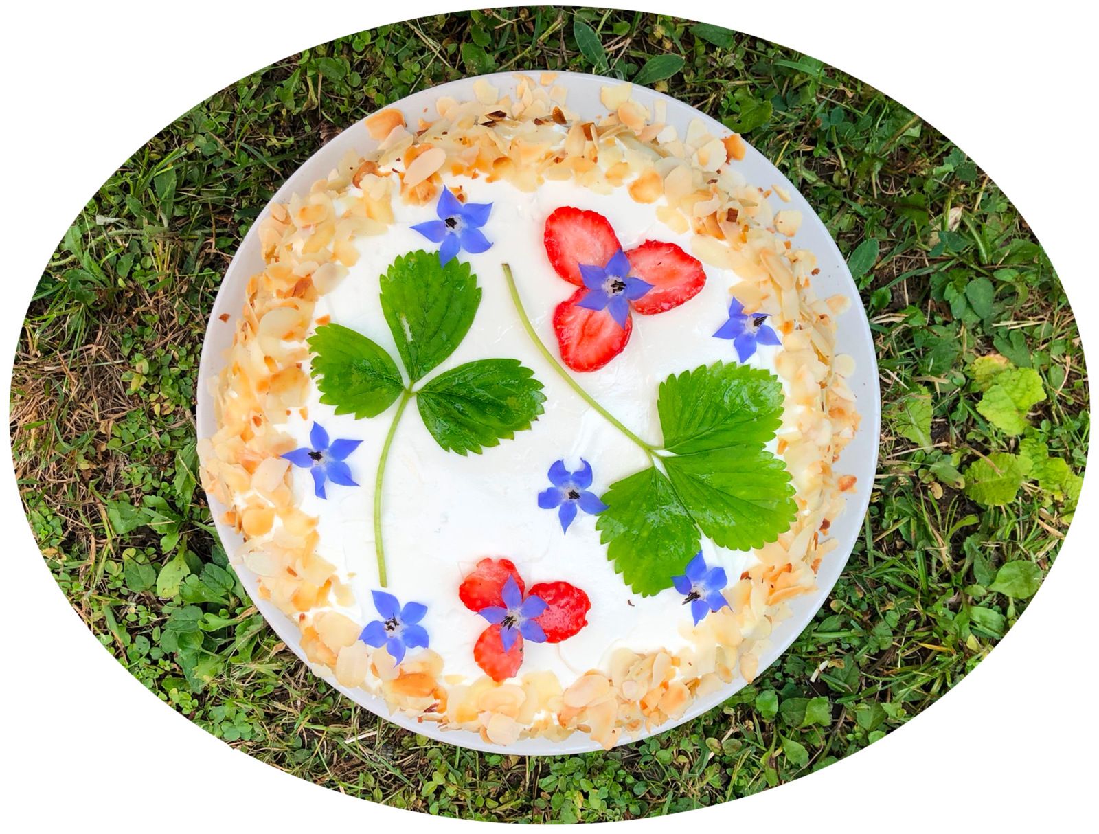Fraisier au labneh - IG Bas/ modéré