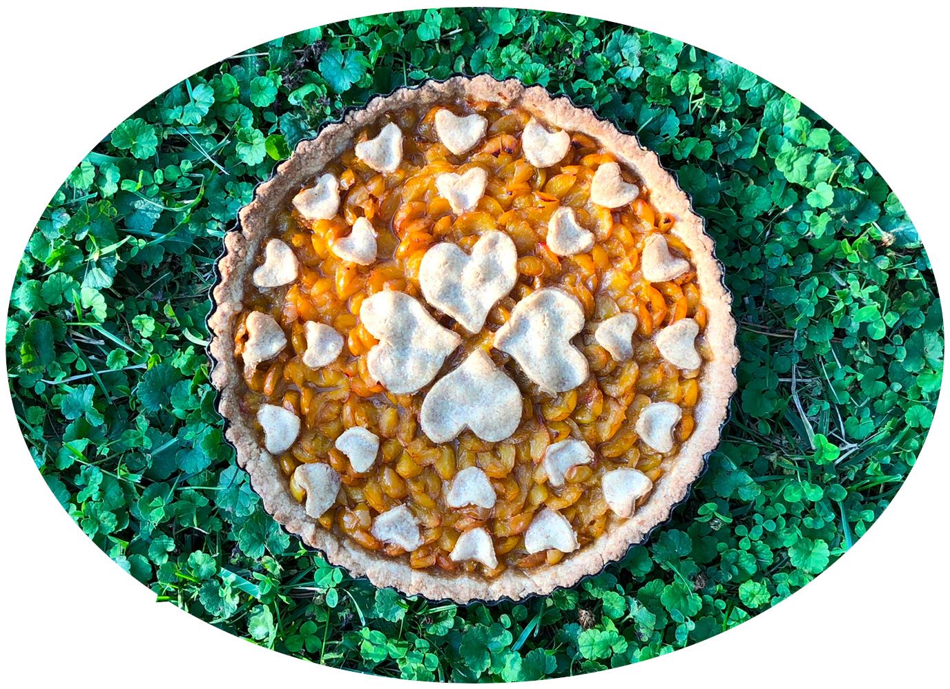 Tarte aux mirabelles à la farine semi-complète 